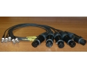 NAGRIT Adapter cable from XLR-3 Female to Lemo 3pin