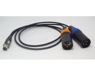 NAGRIT Y cable, from TA3F to 2 x XLR-3 Male