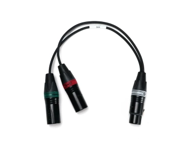 Ambient Cavo Adattatore Stereo da XLR-5F a 2x XLR-3M