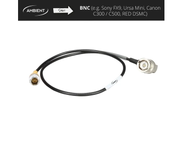 Ambient SYNC-OUT cavo Sync da Lemo PushPull 5-pin a BNC per ACN-CL e ACN-LP