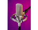 Audio Technica AT4047/SVSM Cardioid Condenser Microphone