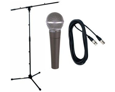 NOLEGGIO SHURE SM58 con asta