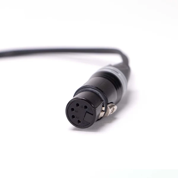Ambient Y-Cable XLR-5F to 2x Low Profile XLR-3M
