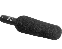 Audio Technica AT875R line + gradient microphone