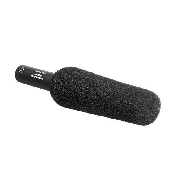 Audio Technica AT875R line + gradient microphone