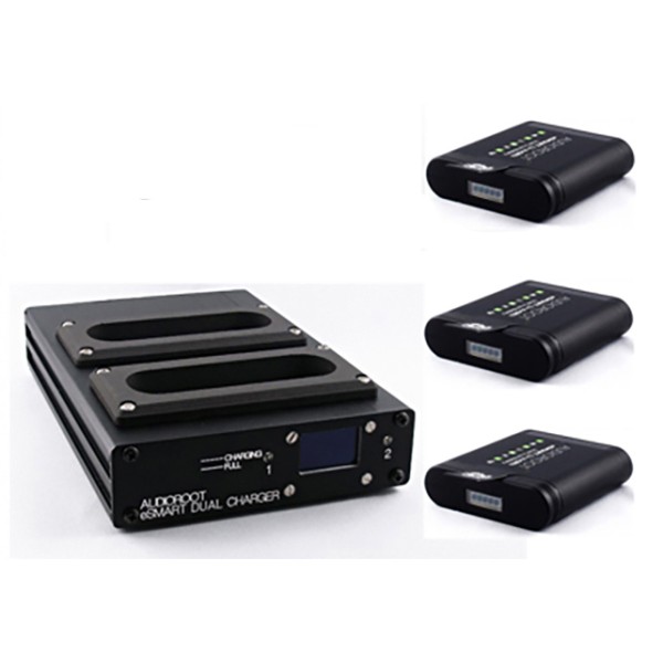 AUDIOROOT Kit Carica-batterie doppio + 3 Batterie LI-NEO 48/96 Wh