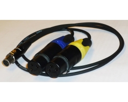 NAGRIT Y cable, from TA5F to 2 x XLR-3 Male or Female