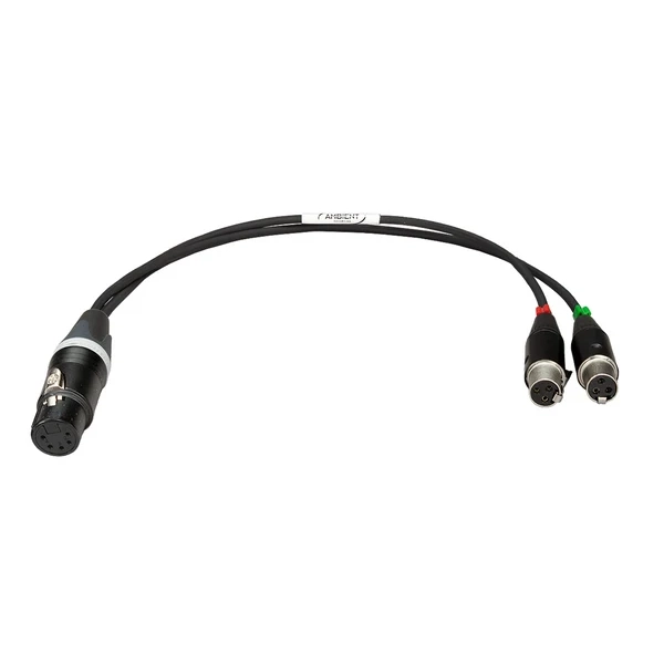 Ambient Cavo Adattatore Stereo Connettori da XLR-5F a 2x TA3F