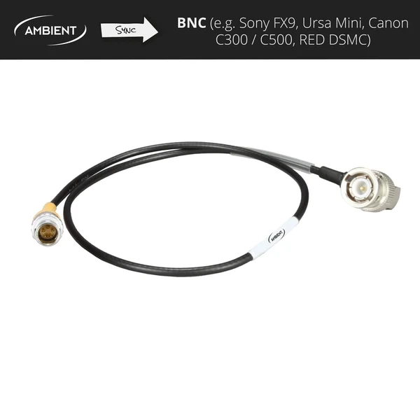 Ambient SYNC-OUT Sync Cable from Lemo PushPull 5-pin to BNC for ACN-CL e AC