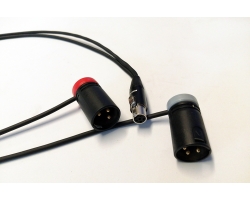 NAGRIT Y-Cable, from TA5F to 2 Low Profile XLR-3 Male or Female