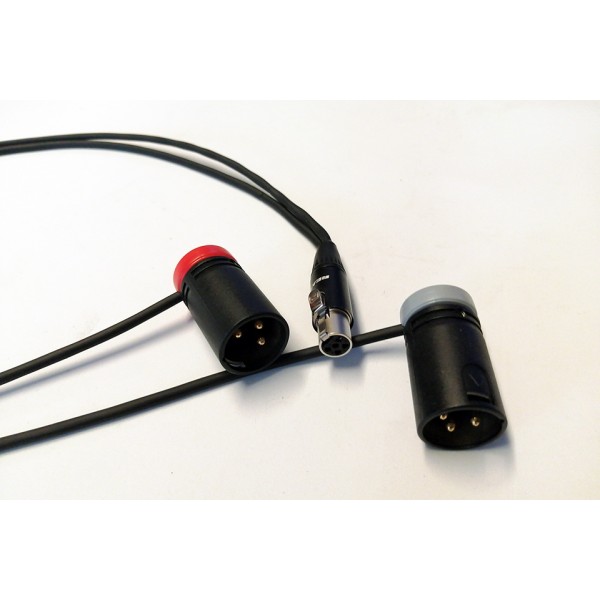 NAGRIT Y-Cable, from TA5F to 2 Low Profile XLR-3 Male or Female