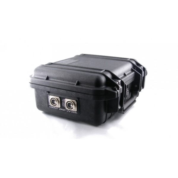 AUDIOROOT Batteria LiFePO4 256Wh, 12,8Volt, 20Ah, Peli Case 1200