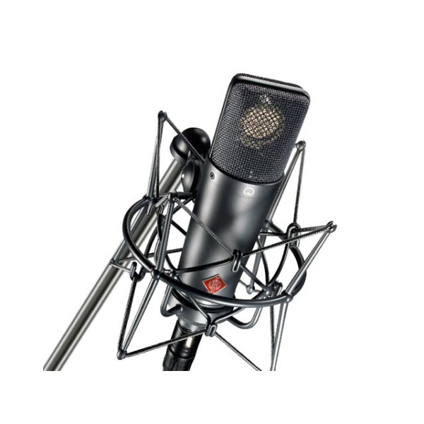 NEUMANN TLM 193 Large-diaphragm Microphone